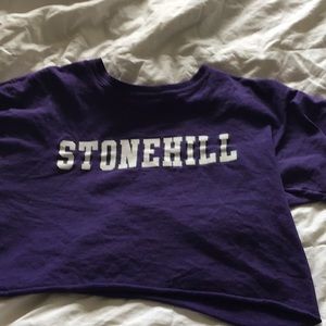 Stone hill cropped t